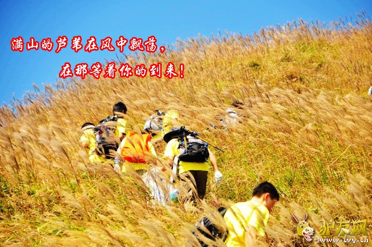 ��ݸ������ (14).jpg